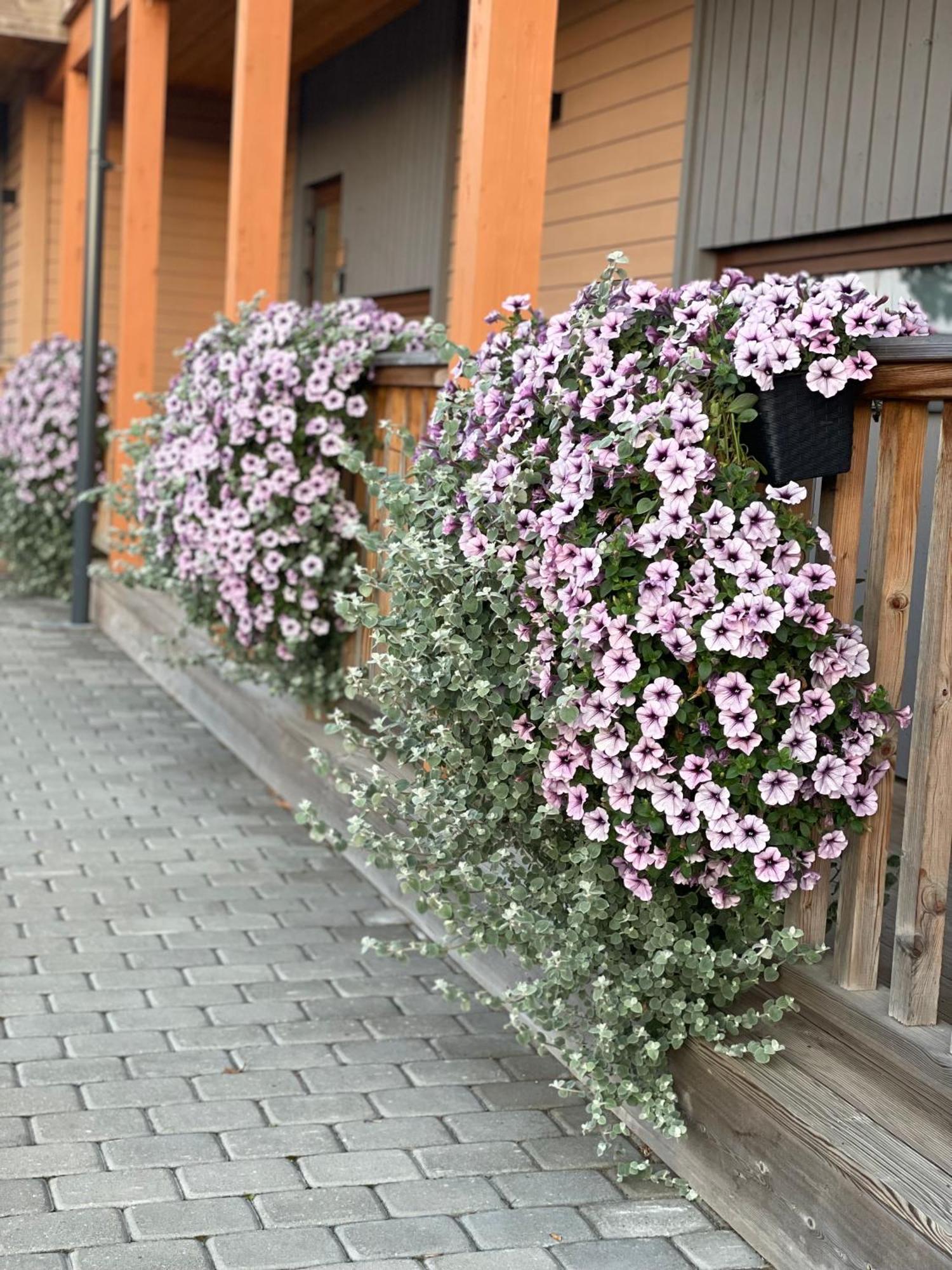 Bestes Apartamenti Koceni Exterior photo